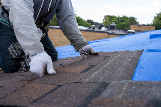 Best Local Roofing Companies  in Griggsvle, IL