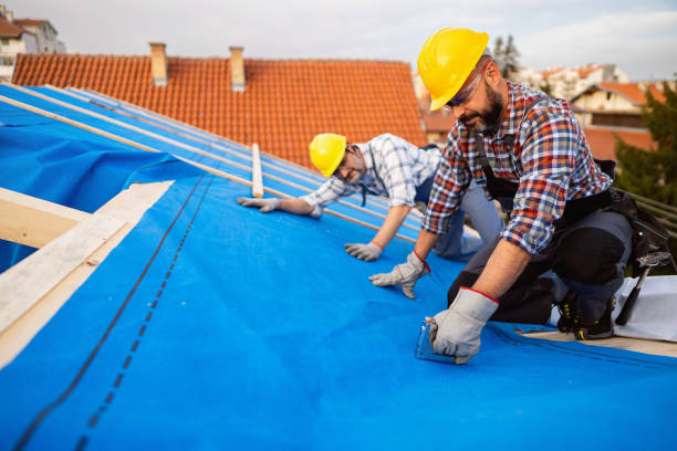 Best Gutter Installation and Roofing  in Griggsvle, IL