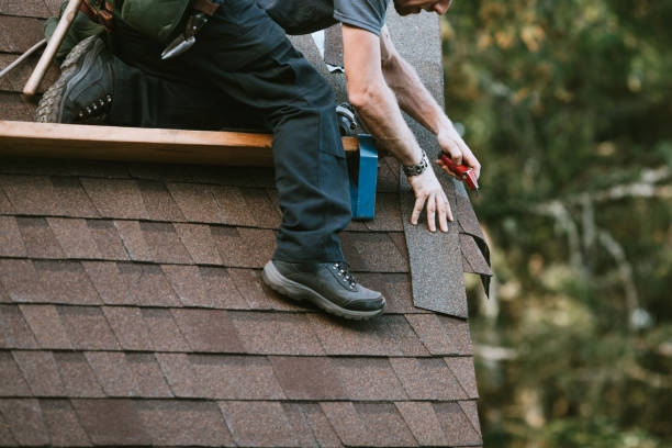 Best Roof Repair Services  in Griggsvle, IL